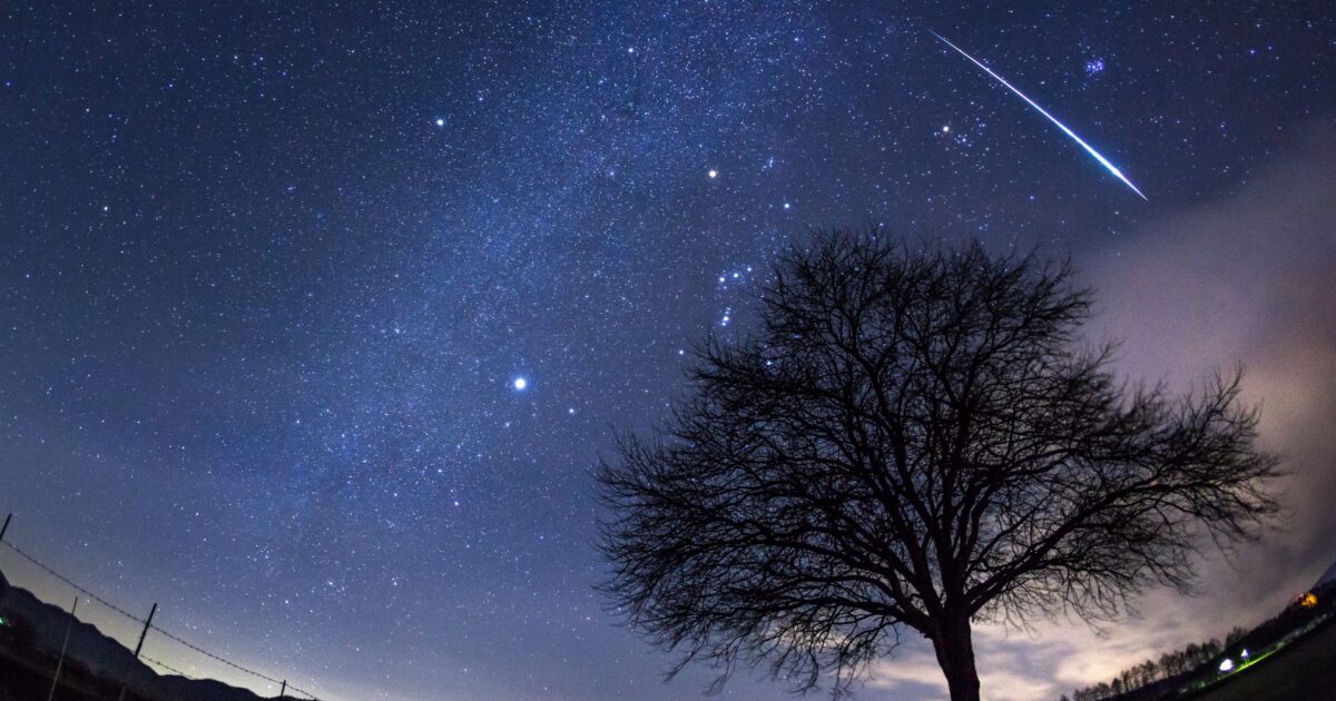 星空に流れる流れ星と一本の木のシルエット